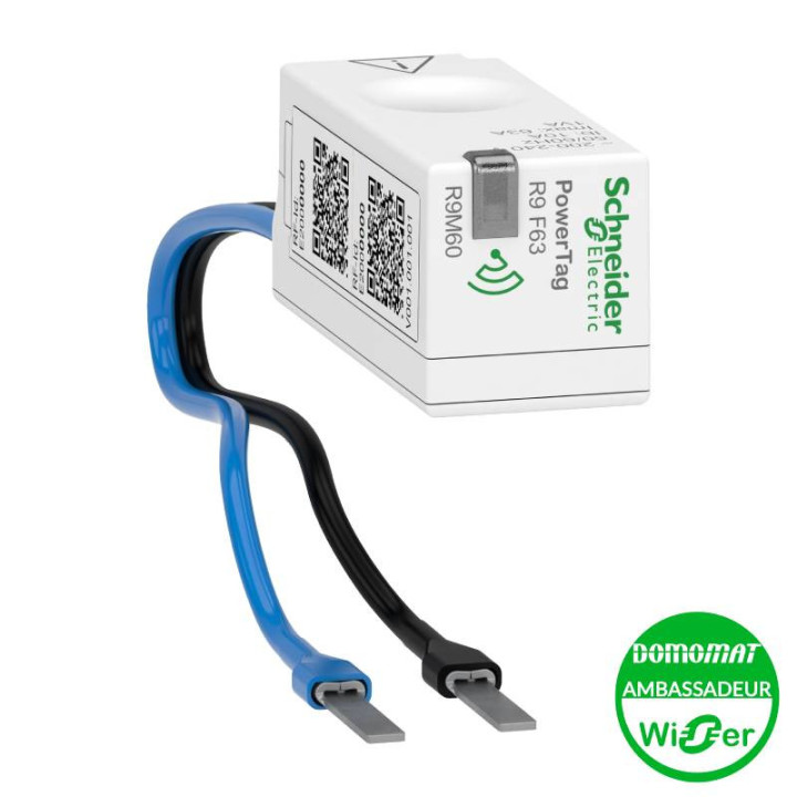 Capteur de mesure sans fil Wiser