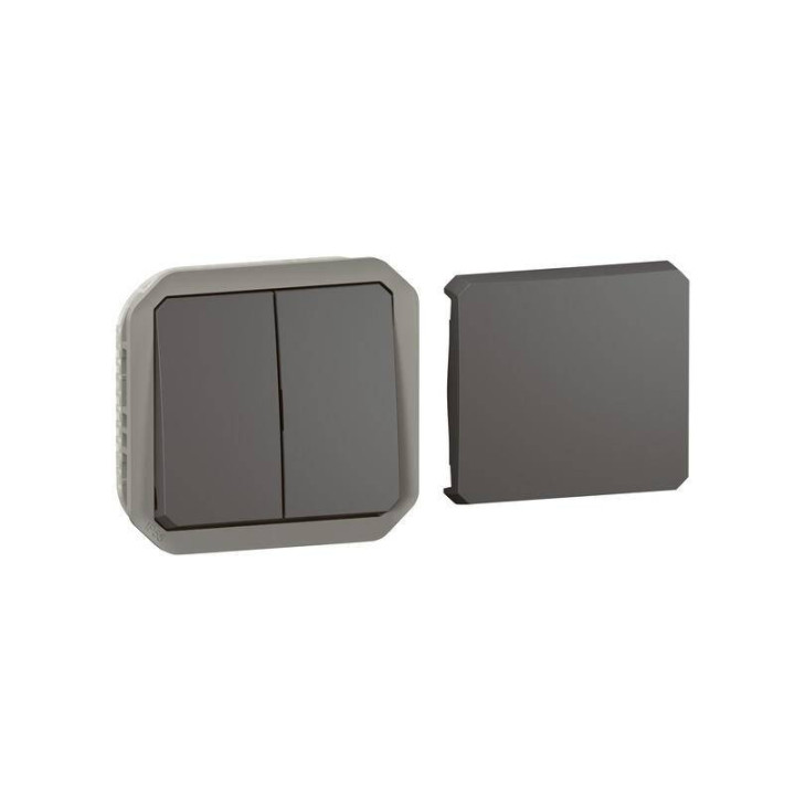 Transformeur étanche Plexo Legrand - Réversible 5 fonctions - Avec enjoliveur - Anthracite - 069800L