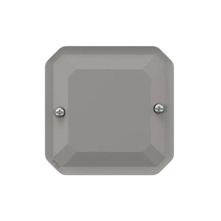 Face Obturateur étanche Plexo Legrand - Avec enjoliveur - Gris 069537L