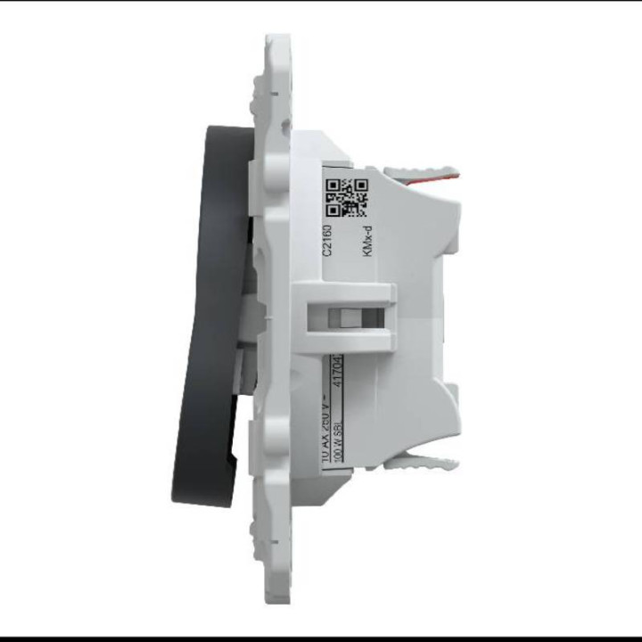 Va et vient lumineux ou témoin Ovalis Schneider Electric - 10 AX - 250V - Anthracite