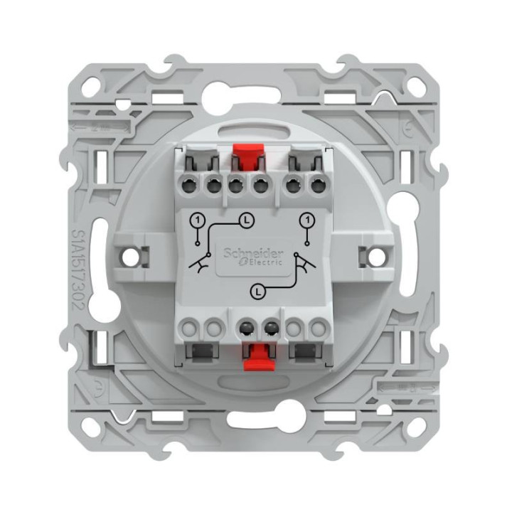 Double poussoir fermeture Ovalis Schneider Electric - 10 AX - 250V - Raccordement bornes automatiques
