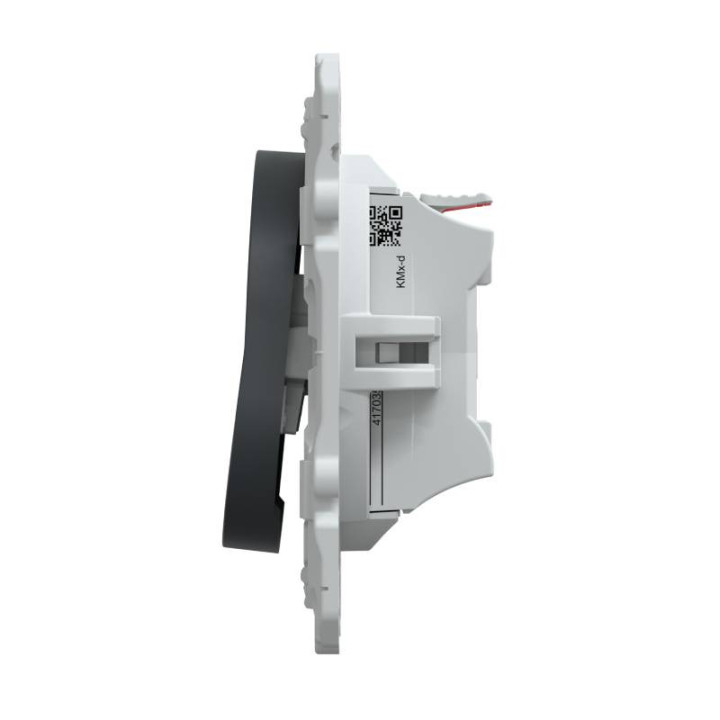Bouton poussoir à fermeture Ovalis Schneider Electric - 10 A - 250V - Anthracite