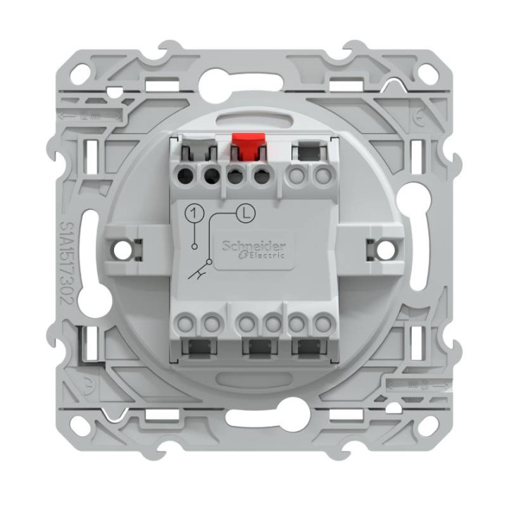 Va et vient Ovalis Schneider Electric - 10 AX - 250V - Anthracite