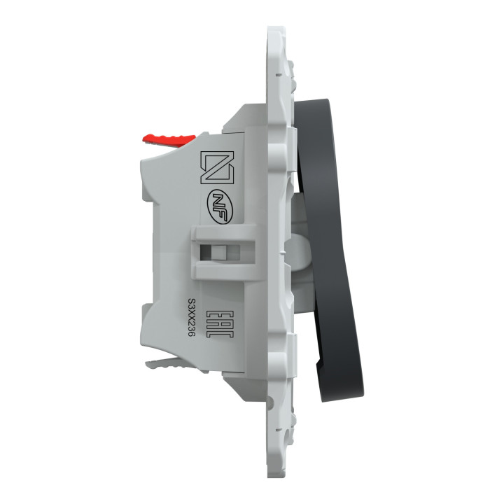 Bouton poussoir pour VMC Ovalis Schneider Electric - Sans arrêt - 10 AX - 250V - Anthracite
