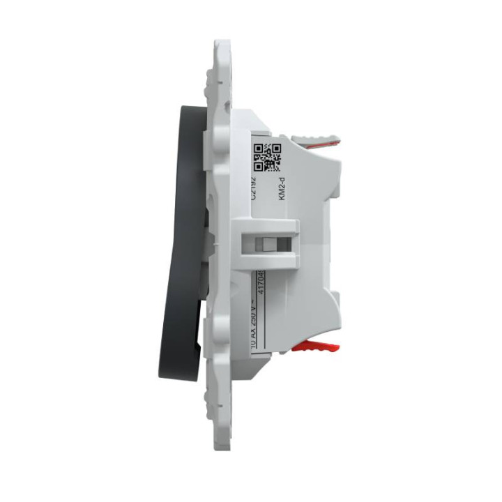 Combiné va et vient + poussoir Ovalis Schneider Electric - 10 AX - 250V - Anthracite - Faible profondeur