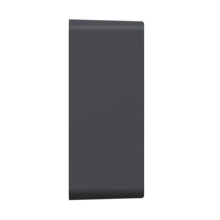 Profil de la boite support 36mm Ovalis Schneider Electric - Pour montage en saillie - Anthracite