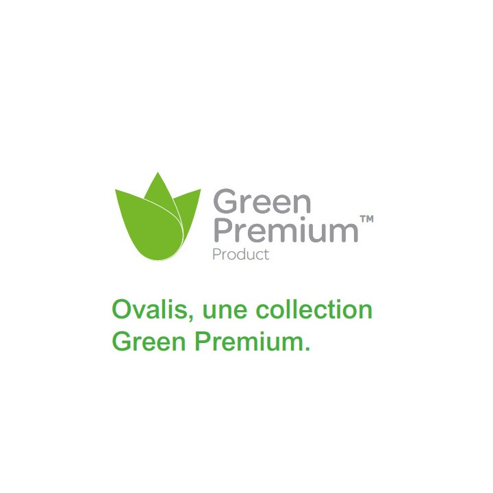 Bouton poussoir pour VMC Ovalis Schneider Electric - Sans arrêt - 10 AX - 250V - Anthracite