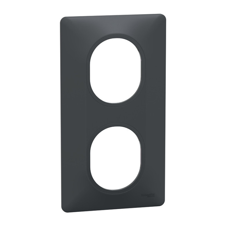 Plaque finition 2 postes vertical anthracite 1