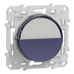 Poussoir avec porte étiquette pour carillon Odace Schneider Electric - Cobalt
