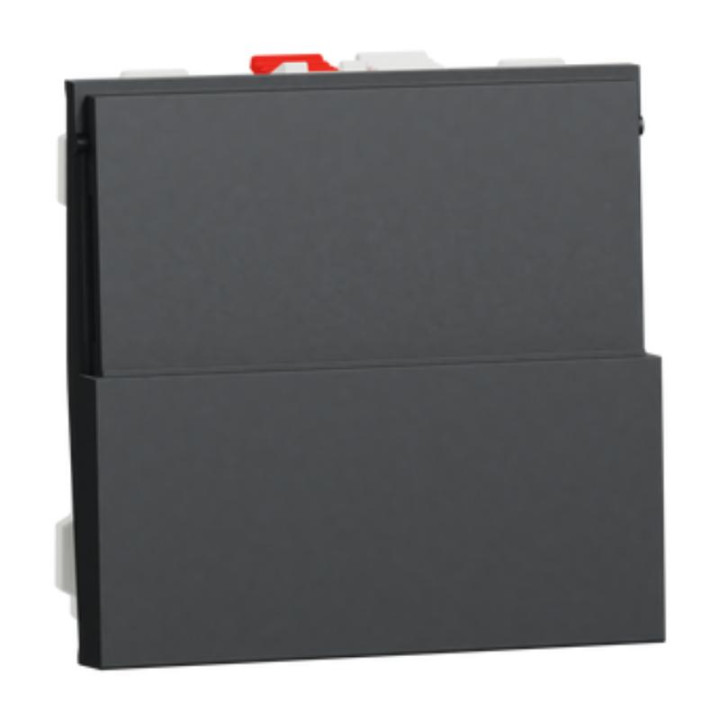 Bouton-poussoir NO/NF Unica - Porte-étiquette - 2 modules - 10A - Anthracite