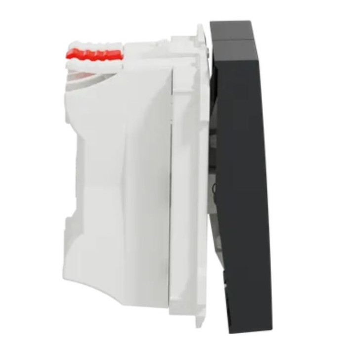 Bouton-poussoir NO/NF Unica - Porte-étiquette - 2 modules - 10A - Anthracite
