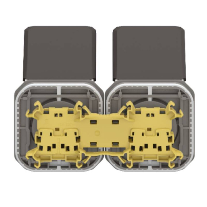 Double prise de courant 2P+T précâblée étanche Plexo Legrand - Horizontale - 16A - Avec enjoliveur - Anthracite
