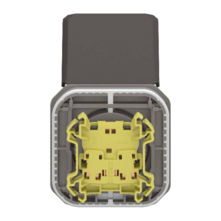 Prise de courant 2P+T étanche Plexo Legrand - 16A - Avec enjoliveur - Anthracite