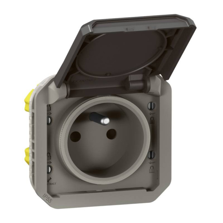 Prise de courant 2P+T étanche Plexo Legrand - 16A - Avec enjoliveur - Anthracite