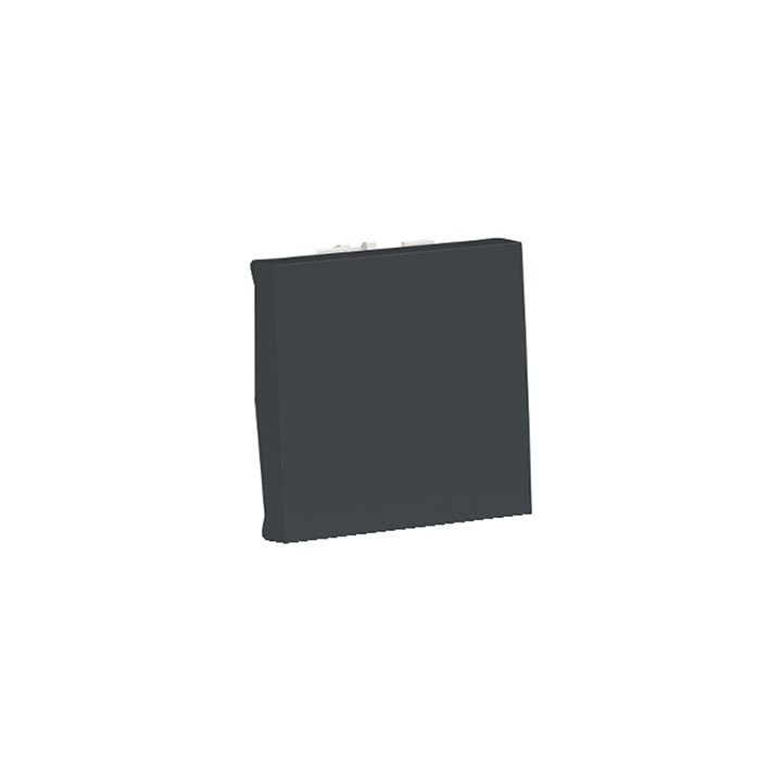 Va-et-vient Unica - 2 modules - 16AX - Anthracite