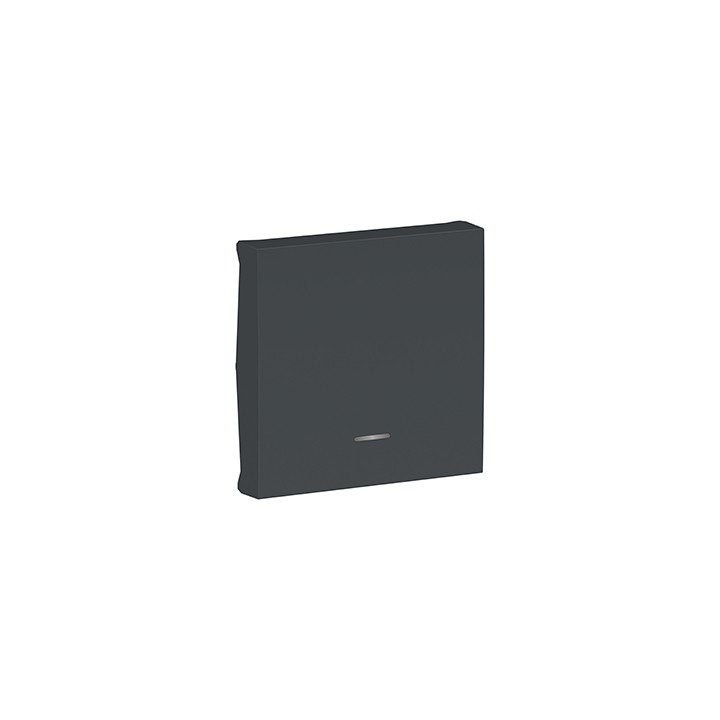 Enjoliveur avec voyant Unica - 2 modules - Anthracite