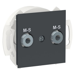 Prise multiservices Unica - 2 modules - Anthracite