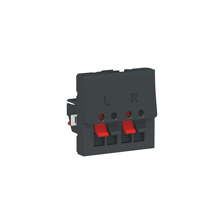 Prise haut-parleurs Unica - 2 modules - Anthracite