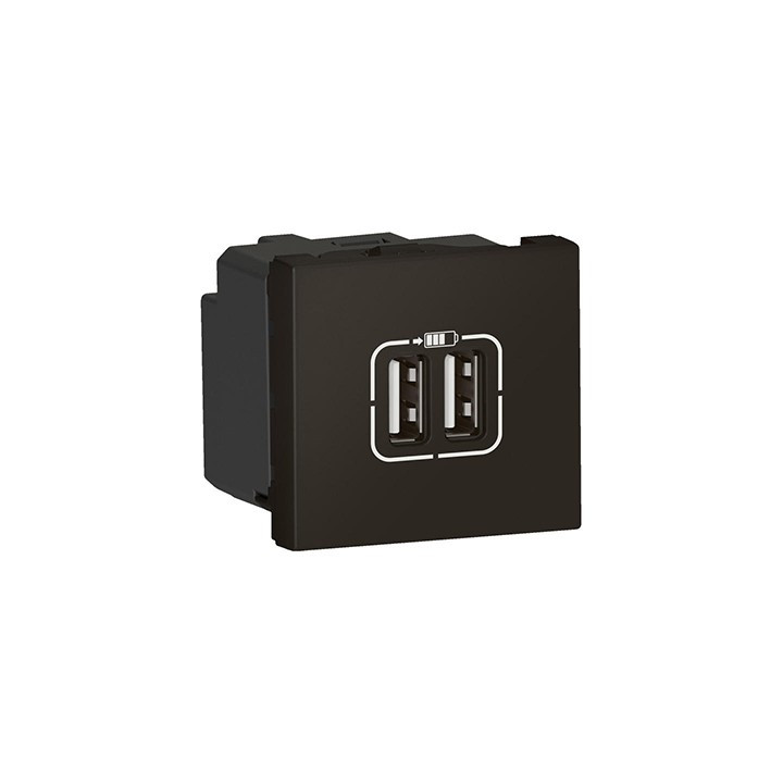Prise 2xUSB type-A Mosaic - 2,4A - 12W - 2 modules - Anthracite
